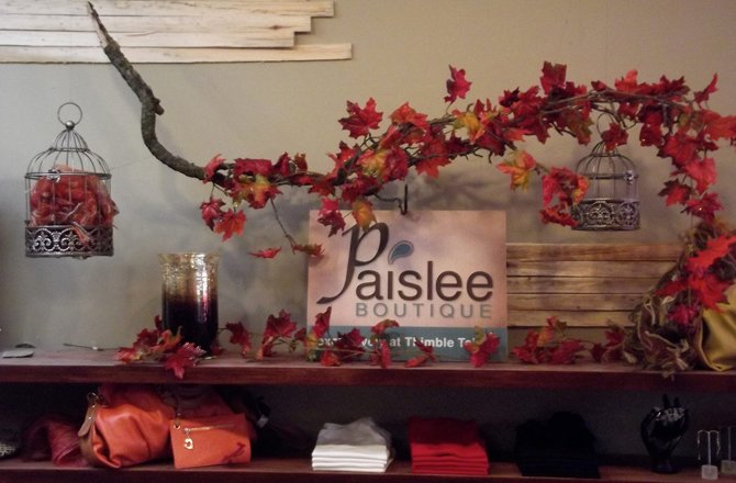 Paislee Boutique interior