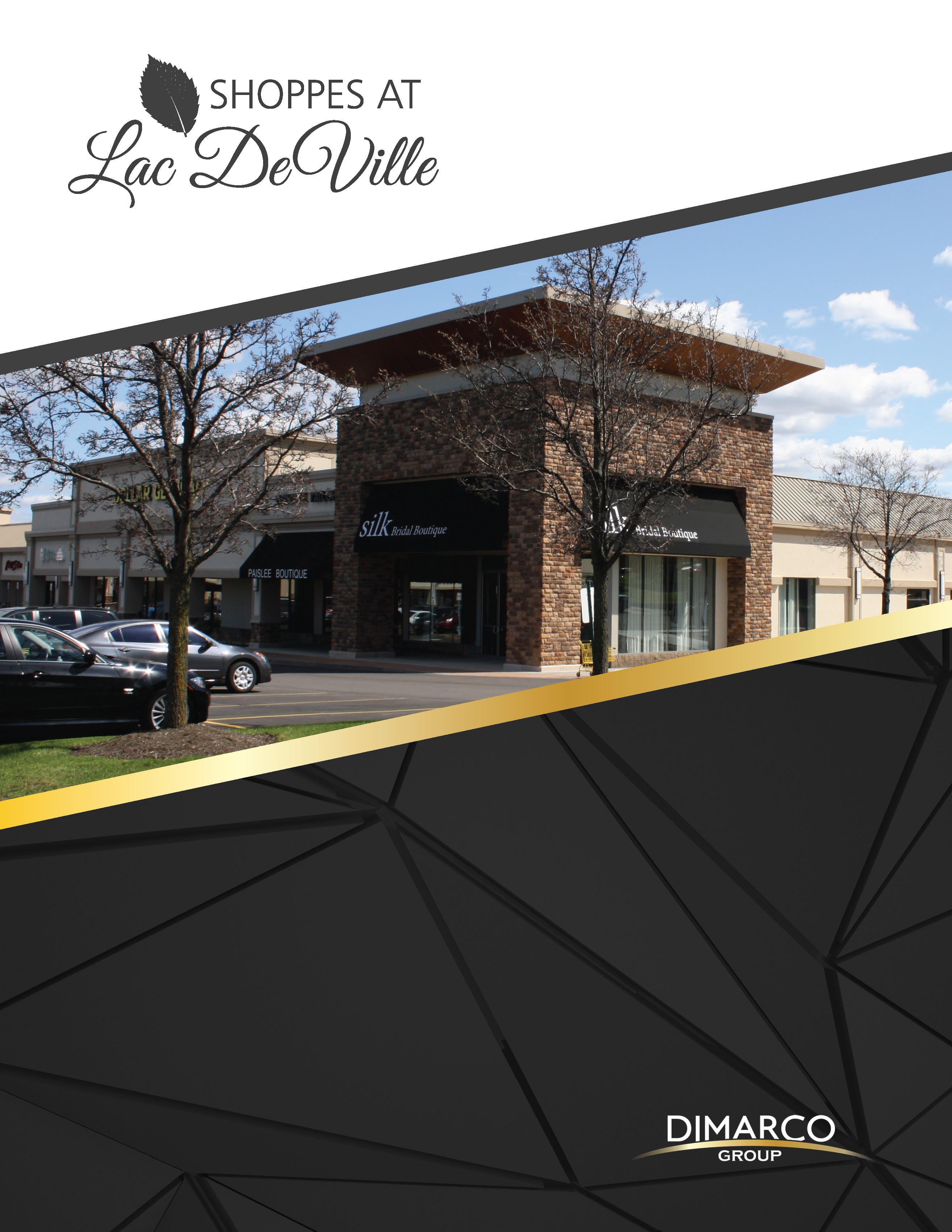 Shoppes at Lac De Ville Property Overview